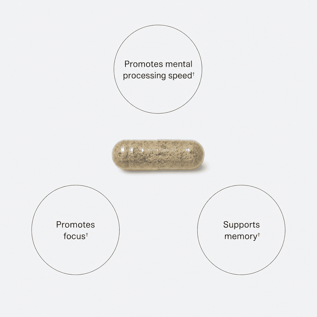 Brain Performance Formula slika 2