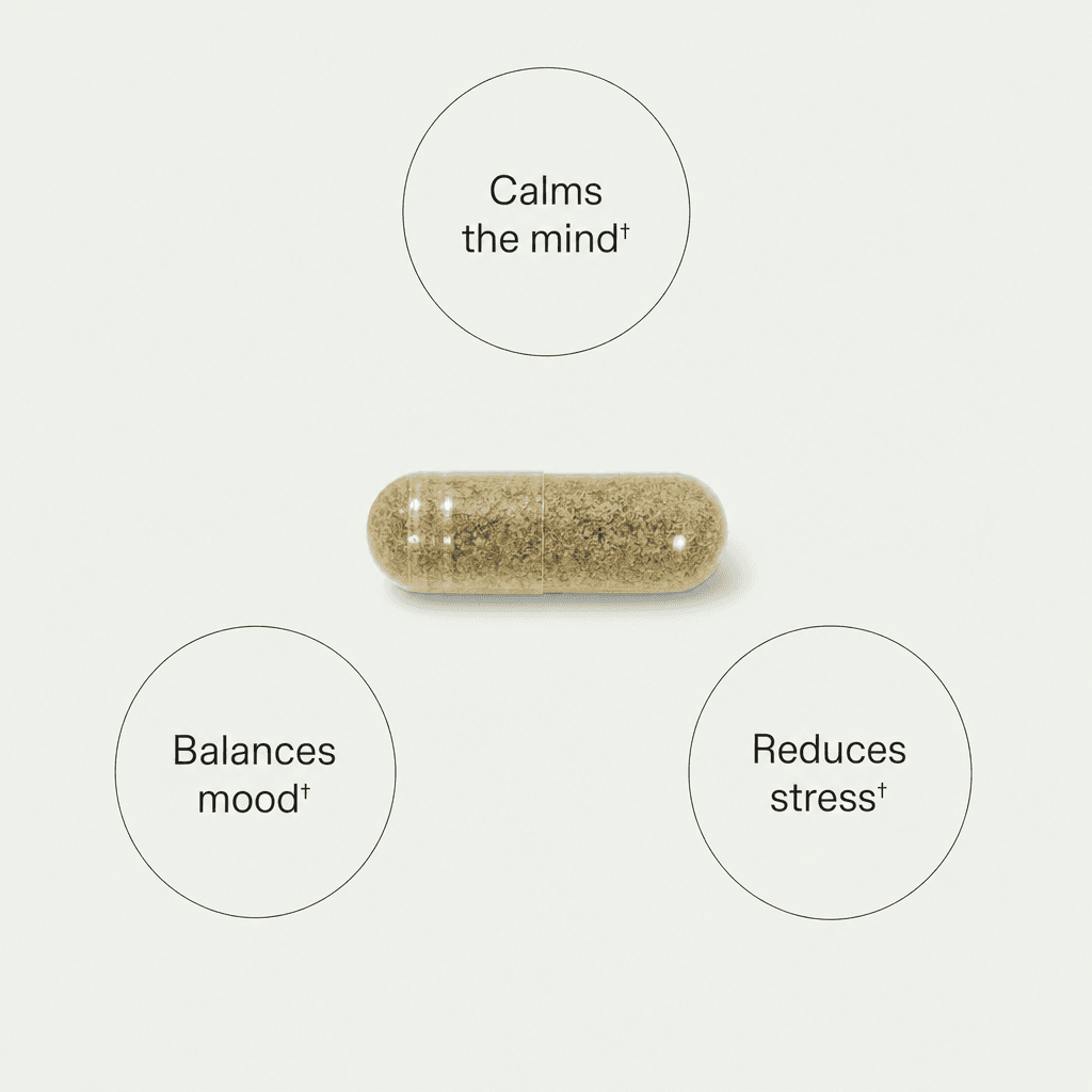 Stress & Anxiety Formula slika 2
